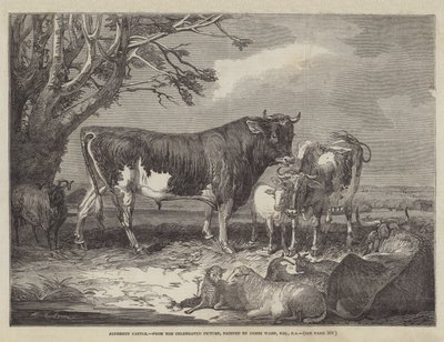 Ganado de Alderney de James Ward